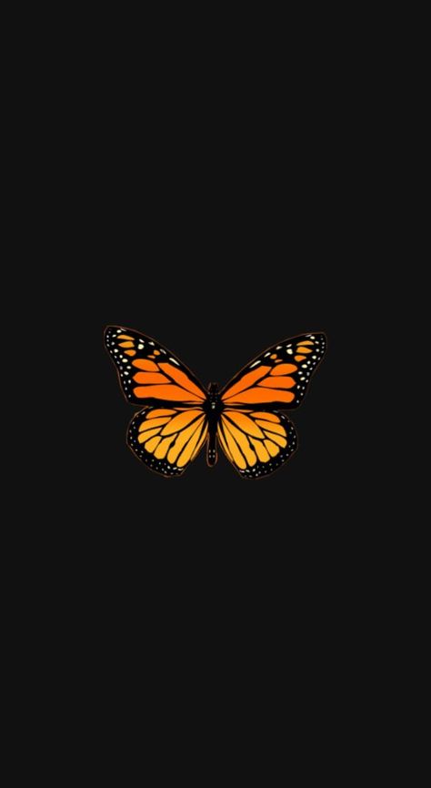 Butterfly Black Wallpaper, Kelebek Wallpaper, Gold Glitter Wallpaper Iphone, Mariposas Aesthetic, Girl Wallpapers For Phone, Orange And Black Butterfly, Black Wallpapers Tumblr, Tree Wallpaper Iphone, Sketch Style Tattoos