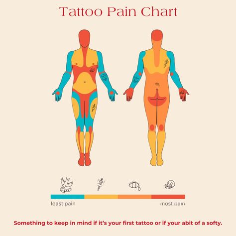 Tattoo Pain Chart, Just a heads up🤣 Tattoo Painful Chart Male, Tattoo Hurtness Chart, Tattoo Painful Chart Women, Unisex Tattoos, Tattoo Painful Chart, Tattoo Learning, Tattoo Chart, Pain Chart, Tattoos Inspo