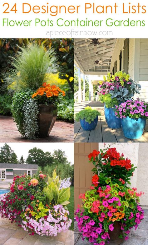 24 Stunning Container Garden Planting Ideas - A Piece Of Rainbow Mixed Flower Pots, Patio Planting, Patio Flower Pots, Gemüseanbau In Kübeln, Potted Plants Patio, Patio Container Gardening, Backyard Gardens, Patio Flowers, Porch Flowers