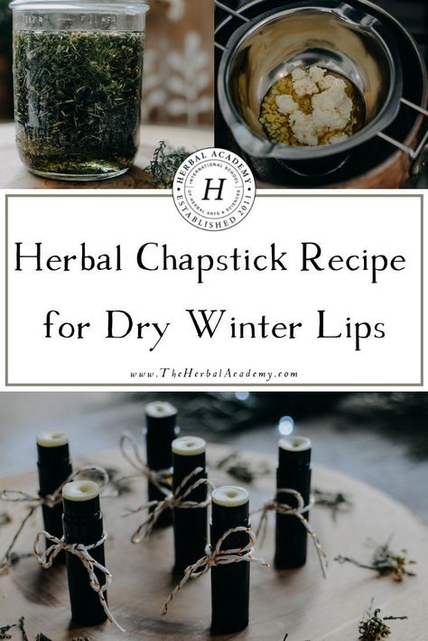 Best Chapstick Recipe, How To Make Natural Chapstick, Diy Natural Chapstick, Winter Lip Balm Recipe, Chapstick Diy Recipes, Herbal Lip Balm Recipes, Healing Lip Balm Recipe, Herbal Academy Recipes, Homemade Chapstick Recipe