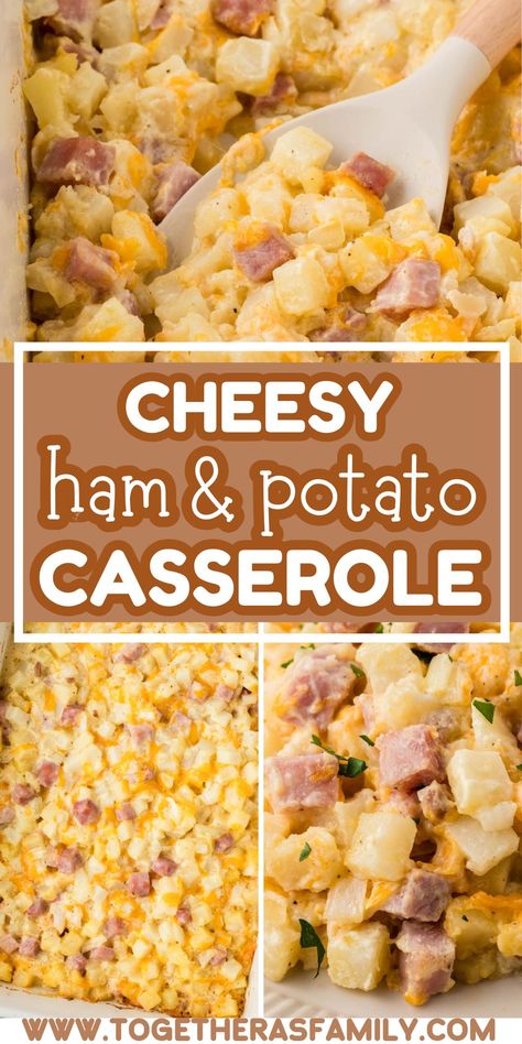 Cheesey Potatoes Ham Casserole, Easy Dinners With Ham, Using Up Leftover Ham, Chunk Ham Recipes, Recipes Using Cubed Ham, Ham Potato Casserole Recipes, Dinner With Leftover Ham, Things To Make With Leftover Ham, Ham And Potatoes Casserole