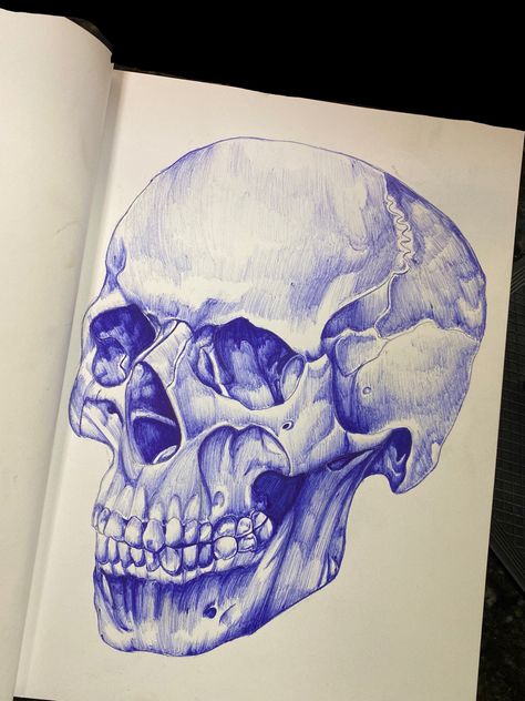 Skull Biro Sketch, Pen Scetches Notebook, Ballpoint Pen Drawing Tutorial, Biro Pen Art, Bic Pen Art, Biro Pen Drawing, Skull Pen Drawing, Skull Anatomy Drawing, Bic Pen Drawing