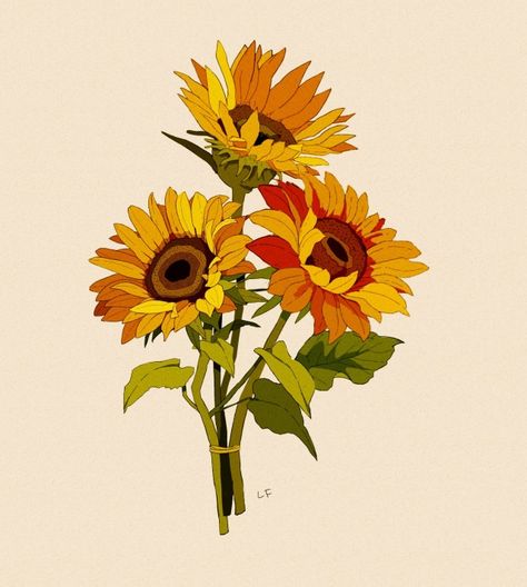 Sunflower Reference Drawing, Sunflower Drawing Wallpaper, Sunflower Botanical Illustration, Sunflower Bouquet Drawing, Sunflower Gouache, Sunflower Drawing Aesthetic, Sunflower Illustration Art, Sunflower Reference, Sunflowers Drawing