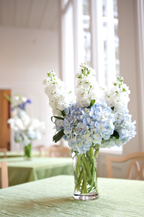 Hygrandea Centerpiece, Hydrangea In Bud Vase, Delphinium Centerpiece Wedding, Small Blue And White Flower Arrangements, Hydrangea Small Centerpiece, Small Hydrangea Centerpiece, Delphinium Centerpiece, Simple Hydrangea Centerpiece, Blue Hydrangea Centerpiece