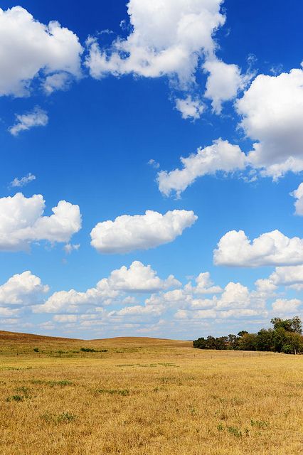 1:1 Photo, Afternoon Background, Air Pictures, Morning Background, Cloud Pictures, Background For Editing, Blue Sky Photography, Blue Sky Wallpaper, Blue Sky Clouds