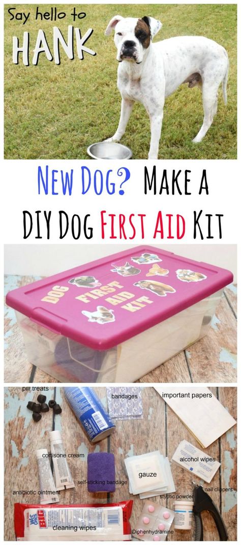 Dog Hacks Diy, Dog First Aid Kit, Dog First Aid, Diy First Aid Kit, Dogs Diy Projects, Puppy Obedience Training, Easiest Dogs To Train, Basic Dog Training, Dog Projects