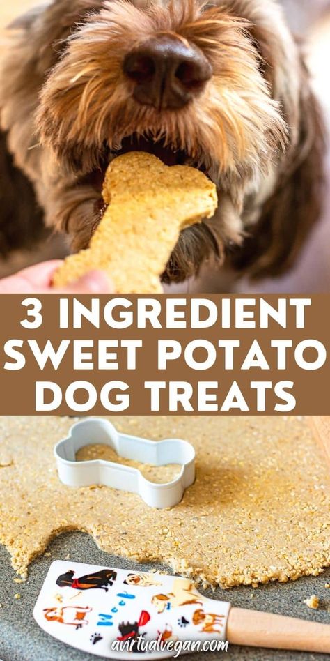 Wheat Free Dog Treats, 3 Ingredient Dog Treats, Healthy Dog Biscuits, Vegan Dog Treats, Dog Cookie Recipes, Sweet Potato Dog, Homemade Dog Cookies, Sweet Potato Dog Treats, Potato Dog