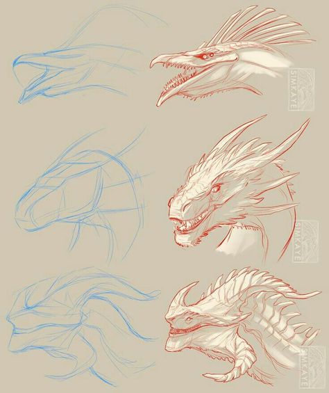 Dragon Poses, Dragon Anatomy, Dragon Heads, Dragon Sketch, Monster Concept Art, Creature Drawings, Dragon Pictures, Fantasy Creatures Art, Concept Art Drawing