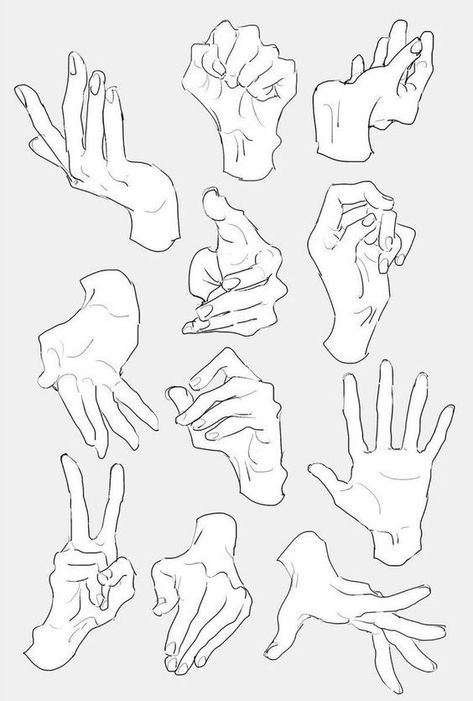 Healthy Woman, Anime Hands, Hand Gestures, Hand Drawing Reference, Body Reference Drawing, Hand Reference, 캐릭터 드로잉, Hur Man Målar, Figure Drawing Reference