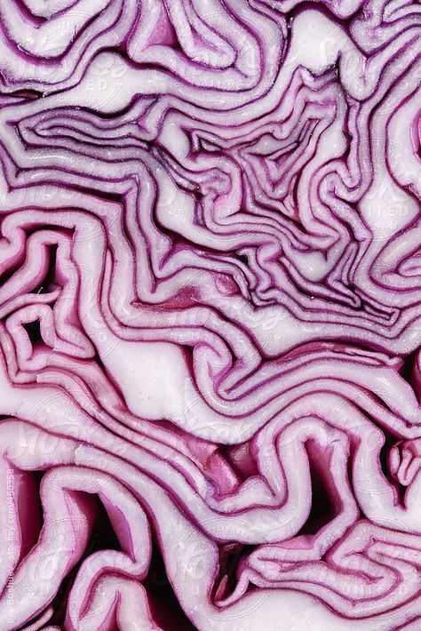 Vegetable Background, Natural Form Art, Pattern Photography, Food Texture, Texture Inspiration, Texture Photography, Plakat Design, Red Cabbage, A Level Art