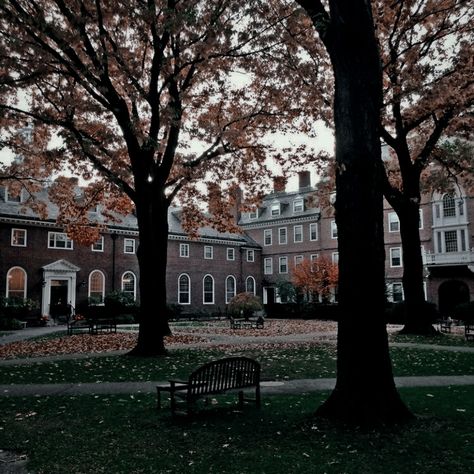 Aesthetic University, Campus Aesthetic, Our Love Story, College Aesthetic, School Campus, Mystic Falls, Highschool Aesthetic, College Campus, Boarding School