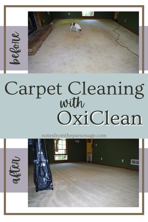 Essential Oils For Carpet Cleaning, Best Carpet Shampoo Solution, Carpet Deep Cleaning Diy, Best Way To Deep Clean Carpets, How To Clean Badly Stained Carpet, Deep Cleaning Carpet, Carpet Cleaner Hacks, Oxi Clean Carpet Cleaner, Borax And Tide Carpet Cleaner