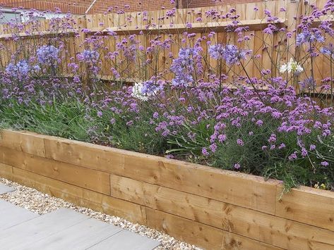 Raised Beds Patio, Raised Timber Garden Beds, Sleeper Raised Beds Garden Edging, Wooden Flower Bed Borders, Lavender Raised Garden Bed, Raised Garden Flower Beds, Raised Bed Along Fence Line, Raised Border Gardens Along Fence, Patio Raised Beds