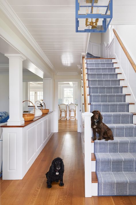 Hamptons Carpet Ideas, Nantucket Beach House Interiors, Blue Carpet Stairs, Modern Nantucket Home, Nantucket Living Room, Nantucket Bedroom, Nantucket House, Nantucket Style Homes, Nantucket Cottage