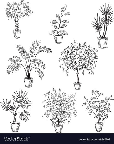 Flowers In Pots, Art Buildings, Plant Sketches, Illustration Clip Art, Aesthetic Architecture, Tree Sketches, Basic Drawing, Hand Drawn Vector Illustrations, Architectural Sketch