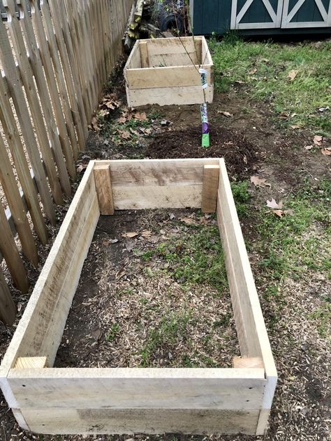 How to Build a Garden Box and What to Grow in it. - Timber Creek Farm Building Garden Boxes, Vege Garden Ideas, Cheap Raised Garden Beds, Above Ground Garden, Raised Gardens, Food Growing, Build A Garden, Raised Bed Garden Design, Garden Boxes Diy