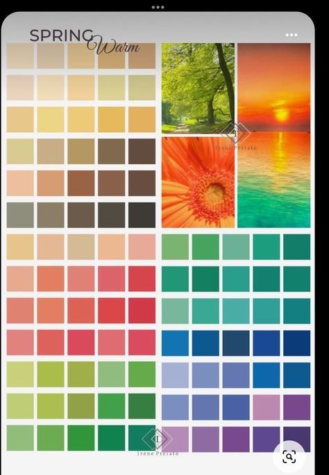 Spring Clothing Color Palette, Spring Warm Palette, Spring Color Analysis Palette, Spring Color Analysis, True Spring Palette, Warm Spring Palette, Library Design Ideas, True Spring Color Palette, Warm Spring Color Palette