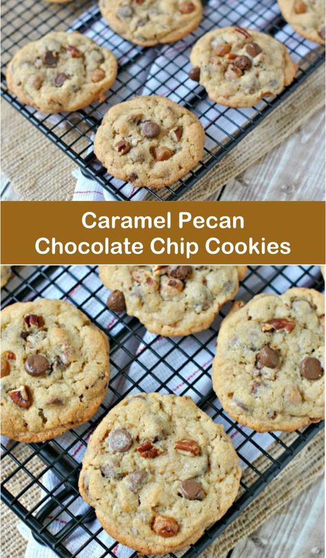 Chocolate Chip Pecan Caramel Cookies, Chocolate Pecan Caramel Cookies, Carmel Pecan Chocolate Chip Cookie, Caramel Praline Cookies, Caramel Pecan Cookies Recipe, Salted Caramel Chocolate Chip Pecan Cookies, Salted Caramel Pecan Cookies, Salted Caramel Pecan Chocolate Chip Cookies, Carmel Chip Recipes