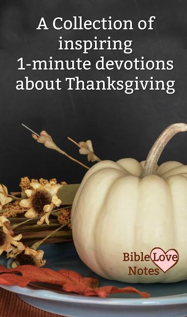 A Collection of 1-minute devotions about Thanksgiving Meaning Of Thanksgiving, Thanksgiving Devotions, Short Devotions, Women Devotional, Thanksgiving Stories, Scripture Images, Uplifting Scripture, Thanksgiving Gratitude, Bible Study Help