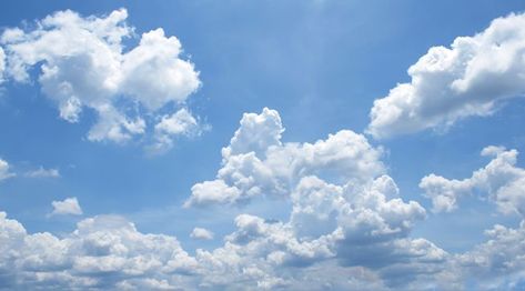 Nimbostratus Clouds, Cirrostratus Clouds, Cumulonimbus Cloud, Wall Cloud, Cumulus Clouds, Tired Of People, Blue Sky Clouds, Cloud Photos, Bitcoin News