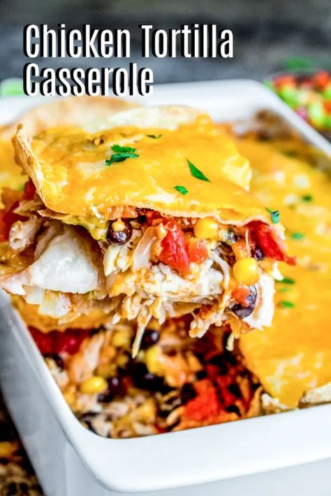 Chicken Tortilla Casserole is an easy, cheesy, Mexican dinner recipe made with layers of flour tortillas and a flavorful filling of chicken, spicy tomatoes, black beans, corn, and cheese. It is an easy weeknight casserole that makes a great dinner recipe. If you love Mexican flavors this chicken tortilla casserole is perfect for you. #chicken #casserole #tortillas #comfortfood Tortilla Casserole Recipes, Casserole Enchilada, Easy Weeknight Casseroles, Mexican Tortilla Casserole, Chicken Tortilla Casserole, Panini Recipes Chicken, Tortilla Casserole, Slow Cooker Shredded Chicken, Great Dinner Recipes