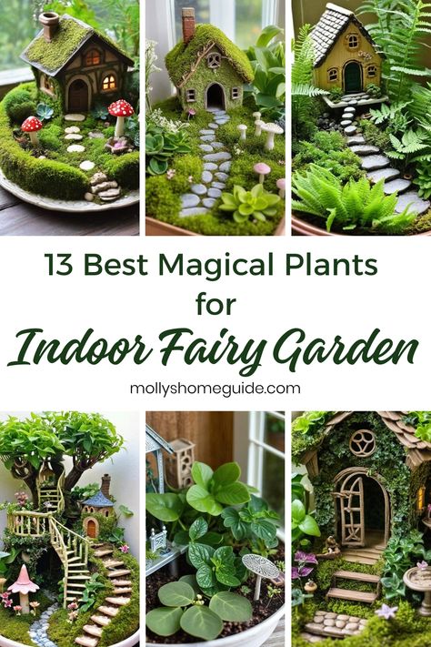 Looking to create a magical indoor fairy garden? Discover the best plants for indoor fairy gardens! These unique herb garden ideas will transform your space into a whimsical sanctuary. Learn about Fairy garden plants that thrive indoors and get inspired by DIY fairy garden ideas. With the right Indoor fairy garden plants, you can create beautiful miniature gardens in containers. Seeking Spider plant care tips? Explore our guide on how to care for these lovely plants. Diy Indoor Fairy Garden Ideas, Diy Fairy Garden Ideas Indoor, Aquarium Fairy Garden, Fairy Garden Balcony, Woodland Fairy Garden, Indoor Butterfly Garden, Indoor Fairy Gardens Diy, Fairy Garden Centerpiece Ideas, Fairy Terrarium Ideas