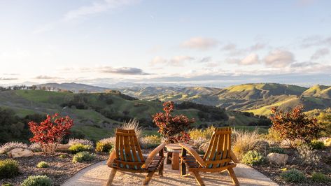 10 Paso Robles, California wineries with the most beautiful views Lawn Activities, California Wineries, Paso Robles Wineries, California Winery, Family Estate, Wine Country California, California Wine, Zinfandel, Coast Wedding