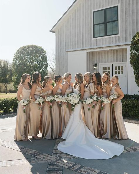 Champagne Winter Bridesmaid Dresses, Wedding Inspiration Bridesmaid, March Bridesmaid Dresses Color Schemes, Wedding Themes Bridesmaids, Wedding Champagne Theme, Ivory And Gold Bridesmaid Dresses, Champagne Bridesmaid Dresses And Blue Suits, Champagne And Brown Bridesmaid Dresses, Sandy Bridesmaid Dresses