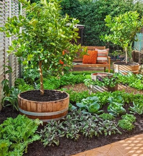 10 Beautiful Ornamental Vegetable Gardening Ideas — Steemit Vegetable Garden Design, Cottage Gardens, Landscape Designs, Secret Gardens, Potager Garden, Edible Landscaping, Veg Garden, Have Inspiration, Food Garden