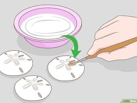 How to Harden a Sand Dollar: 8 Steps (with Pictures) - wikiHow Painted Sand Dollars, Sand Dollar Craft, Sand Dollar Art, Seashell Art Diy, Sand Dollar Ornament, Cool Crafts, Sand Dollar Necklace, Oyster Shell Crafts, Seashell Projects