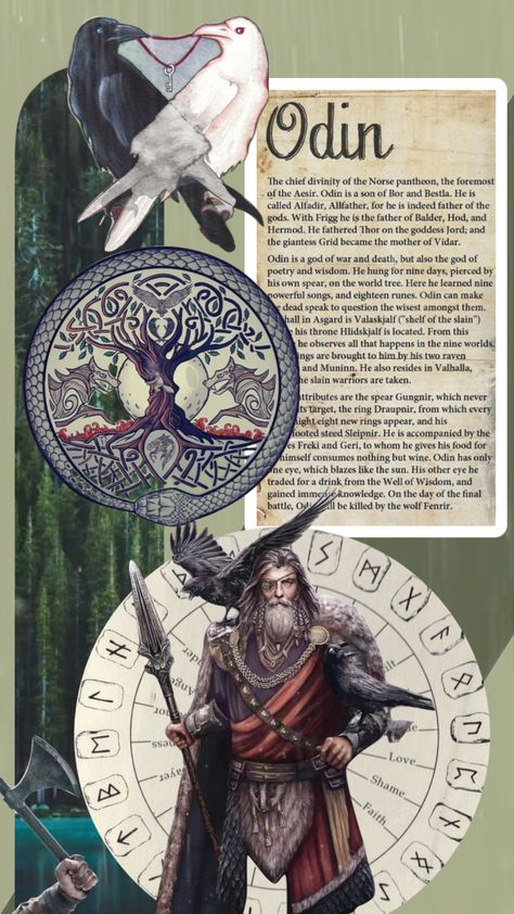 Checkout lifeguidedi's Shuffle #norsemythology #norse #viking #alfadir #allfather #odin #gods #shufflefyp #mythology #mythologyaesthetic #mythological #aestheitc Odin Mythology, Norse Mythology Book, Odin Allfather, Odin Norse Mythology, Odin's Ravens, Mythology Books, Odin God, Fashion Illustration Collage, Norse Pagan