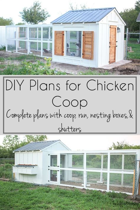 Reban Ayam, Cute Chicken Coops, Chicken Coop Garden, Chicken Coup, Backyard Chicken Coop Plans, Diy Chicken Coop Plans, Chicken Coop Run, Backyard Chicken Farming, Raising Backyard Chickens