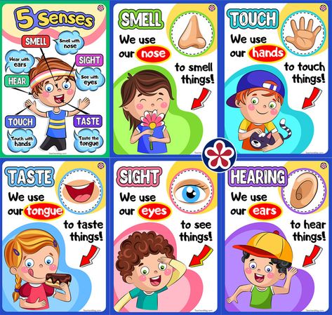 5 Senses Craft, 5 Senses Preschool, Five Senses Worksheet, Five Senses Preschool, 5 Senses Activities, Preschool Charts, Senses Preschool, My Five Senses, Senses Activities