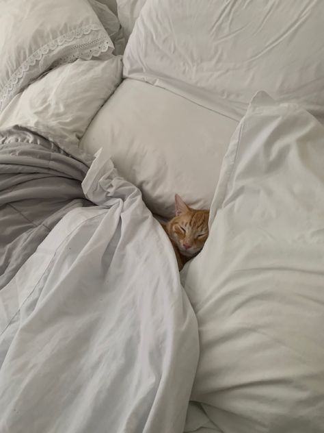 Cozy Cat/White Bed/Orange Cat/Cute Cat/Cozy/Cat Cats In Bed Aesthetic, Cat At Home Aesthetic, Cozy Cat Bed, Cat Cuddle Aesthetic, Cozy January Aesthetic, Cozy In Bed Aesthetic, Cozy Cat Aesthetic, Cat In Bed Aesthetic, Good Sleep Aesthetic