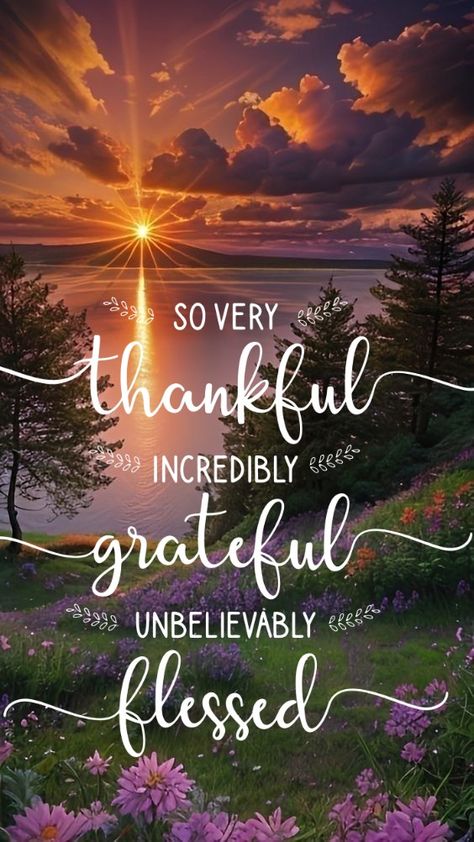 Thankful Grateful Blessed Harvest Blessings Quotes, So Much To Be Grateful For, Blessings In The New Year, Have A Blessed Day Quotes Inspirational, Beautiful Thanksgiving Quotes, Happy Thanks Giving Quotes, Be Thankful For What You Have Quotes, Thankful Blessed Quotes, Blessed Thanksgiving Images