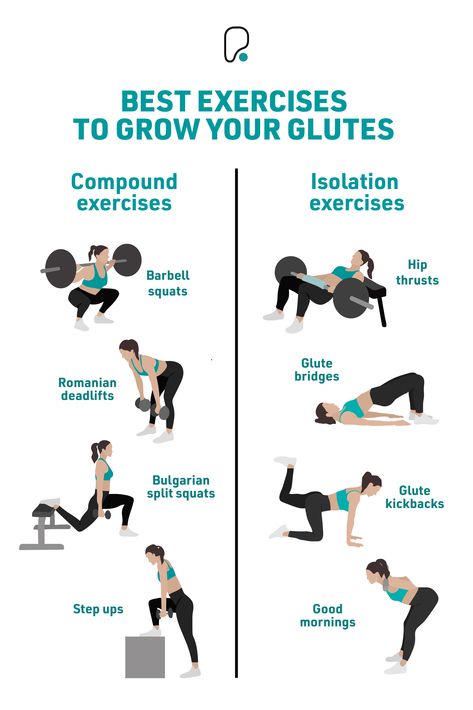 Infographic with 8 exercises that strengthen the glutes Leg Isolation Exercises, Gym Exercise For Glutes, Glutes Exercises For Women Gym, Glutes Beginner Workout, Leg And Glute Workouts At Home Weights, Exercises To Grow Your Glutes, Glute Workout For Beginners Gym, Gluteus Gym Workout, Back And Glutes Workout Gym