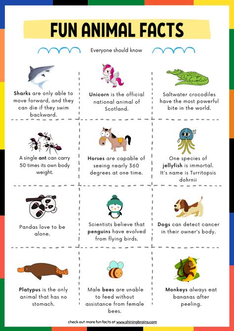 Fun Facts for Kids | 30+ facts for kids - Every kid should know Cute Facts About Animals, Fun Facts Animals, Fun Fact For Kids, Fun Facts For Students, Did You Know Science Facts, Fun Facts About Me Ideas, Did You Know Jokes, Random Facts Funny, Interesting Facts About Science