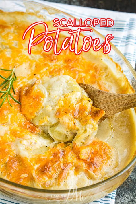 Classically delicious, Scalloped Potatoes with Cheddar, has tender buttery potatoes in a white sauce and topped with cheddar. #potatoes #cheese #casserole #sidedish #recipe #easy White Cheddar Scalloped Potatoes, Sauce For Scalloped Potatoes, 4 Cheese Scalloped Potatoes, Scalloped Potatoes With Brie Cheese, Scalloped Potatoes No Cheese, Scalloped Potatoes White Sauce, Basic White Sauce, Cheddar Scalloped Potatoes, Perfect Potatoes