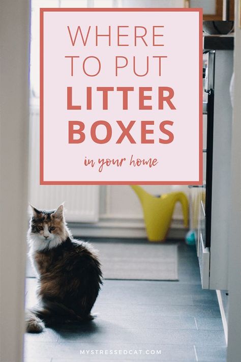 Cat Litter In Laundry Room, Cat Litter Box Location Ideas, Where To Place Cat Litter, Places To Put Litter Boxes, Places To Hide Litter Boxes, Litter Box Location Ideas, Small Laundry Room Cat Litter Box Ideas, Where To Put A Litter Box Cats, Creative Litter Box Ideas