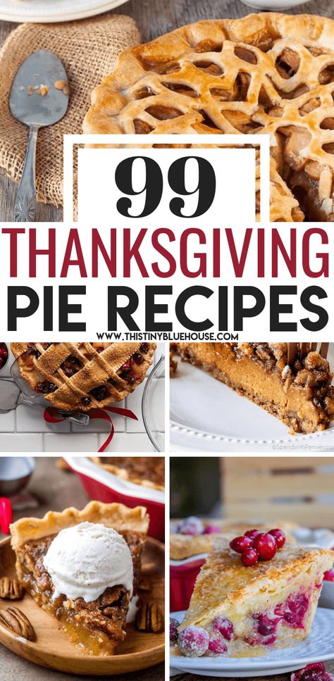 End your Thanksgiving feast on a sweet note with one of 99 best decadent Thanksgiving pie recipes that are a perfect addition to any Thanksgiving table. #ThanksgivingPieRecipes #ThanksgivingPieRecipesHolidays #ThanksgivingPieRecipesBest #HolidayPieRecipes Unique Pie Recipes, Fall Pies Recipes, Pumpkin Chiffon Pie, Pumpkin People, Thanksgiving Baking, Thanksgiving Pie Recipes, Unique Pies, Fall Pies, Pecan Pies