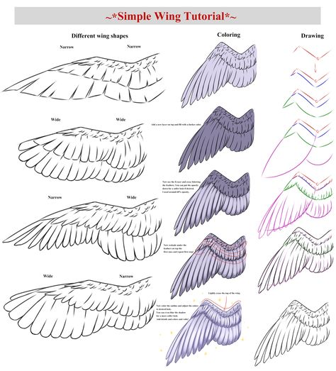 Simple Wing Tutorial by CrimsonxScorpion Feathered Wings Reference, Feathers Reference, How To Draw Feathers, Eye With Wings, How To Draw Wings, Wing Tutorial, Types Of Wings, Wings Sketch, Feather Drawing