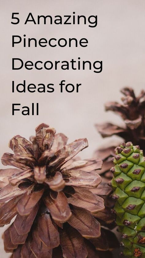 Pine Cone Centerpieces, Decorating With Pine Cones, Homemade Fall Decorations, Homemade Thanksgiving Decorations, Pinecones Crafts, Pinecone Decorations, Crafts For Fall, Pinecone Art, Pine Cone Flower Wreath