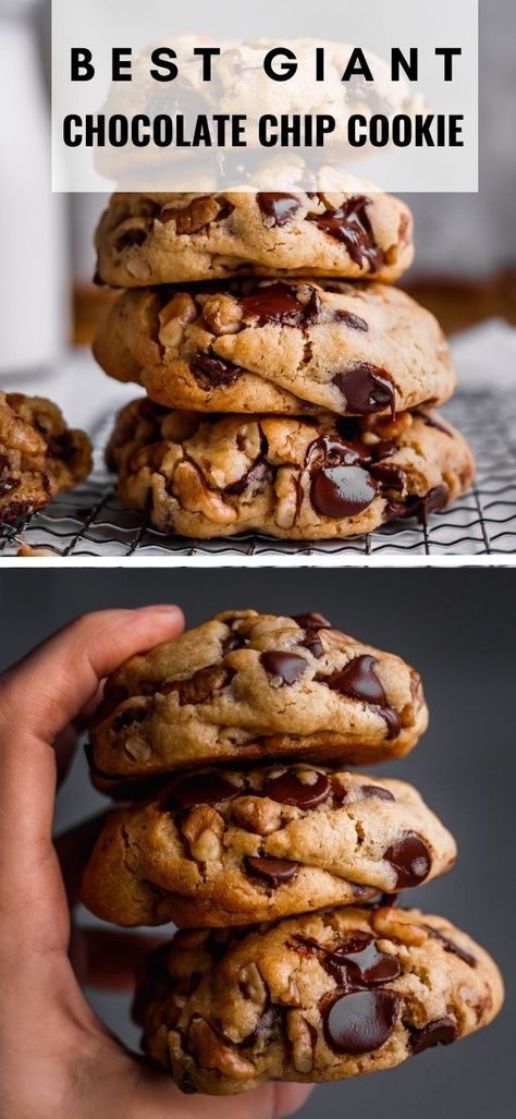 The Best Giant Chocolate Chip COOKIE RECIPE - incredibly delicious, soft, gooey & fully loaded chocolate chip cookies with walnuts. Chocolate Chip Cookies Giant, Everything Chocolate Chip Cookies, Joyfoodsunshine Chocolate Chip Cookies, Chocolate Chip Blossom Cookies, Big Chunky Chocolate Chip Cookies, Ultra Thick Chocolate Chip Cookies, Girl Meets Farm Chocolate Chip Cookies, Chocolate Chip Chunky Cookies, Outrageous Chocolate Chip Cookies