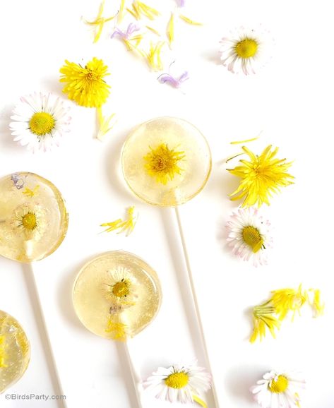 Honey & Lemon Floral Lollipops Recipe - BirdsParty.com Lollipops Recipe, Lollipop Recipe, Daisy Party, Spring Tea, Dandelion Recipes, Honey Recipes, Homemade Candies, Köstliche Desserts, Honey Lemon