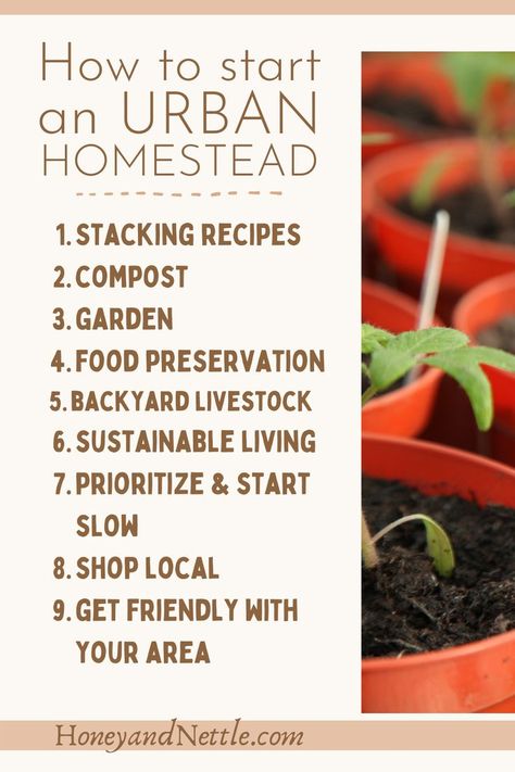 9 tips to start an urban homestead. Practical and actionable ways to get you started with urban homesteading. Easy things that you can start today to build up your urban homesteading skills. Homesteading In Town, In Town Homesteading, Homestead Urban, How To Start A Homestead With No Money, Buying Land For Homestead, How To Start Homesteading Slowly, Environmentally Friendly Living, Urban Homestead, Living Simply