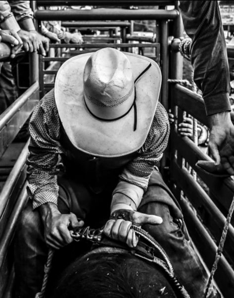 Rhett Eaton, Chestnut Springs Series, Cowboy Photography, Chestnut Springs, Elsie Silver, Country Backgrounds, Rodeo Cowboys, Cowboy Romance, Cowboy Aesthetic