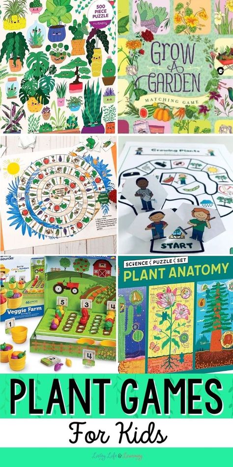 Plant Games for Kids Kindergarten Science Curriculum, Kindergarten Science Experiments, Botany Lessons, Kindergarten Science Activities, Plant Lessons, Plant Activities, Plant Games, Learning New Things, Science Puzzles