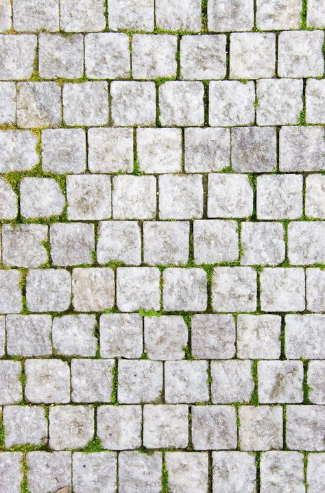 Stone pavement. With green grass. Texture or background , #affiliate, #green, #pavement, #Stone, #background, #Texture #ad Green Grass Texture, White Bricks, Paving Texture, Grass Texture, Stone Pavement, Stone Decoration, Floor Texture, Tile Texture, Brick Texture