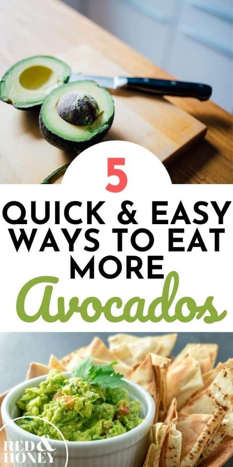 Avocados are wildly popular for beauty hacks, but they aren’t just for your skin and hair. Your nutrition could benefit from including avocadoes in your diet every day. Here are five quick and easy ways to boost your healthy eating from breakfast to dinner. #avocados #healthyeating #nutrition How To Cook Avocado, Stuff To Make With Avocados, How To Eat An Avocado, What To Eat With Avocado, How To Use Avocado, What To Eat Avocado With, Avocado Ideas How To Eat, What To Do With Avocados, How To Season Avocado