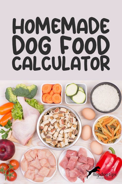 Dog Food Ideas Recipes For, Dog Food Vegetables, Honest Kitchen Dog Food, How Much Homemade Dog Food To Feed Your Dog, Serving Size For Homemade Dog Food, Homemade Dog Food How Much To Feed, Puppy Diet Plan, What Not To Feed Dogs, Homemade Dog Food Recipes You Can Freeze